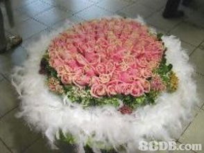 怡豐禮品設(shè)計(jì)花廊 以花為禮，傳遞每一份美好心意